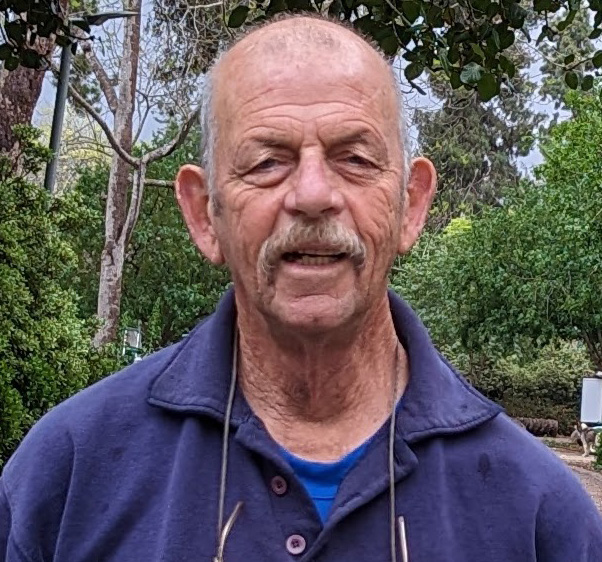 חיים פרי