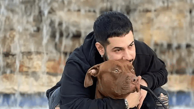 אלי-ה כהן
